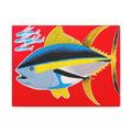 Big Red - Yellowfin Tuna Canvas Print on Red Matte Stretched Canvas